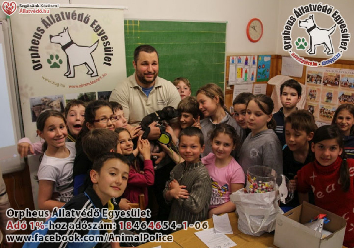 Állatvédelem oktatás szja 1%
